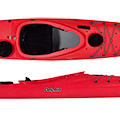 Delphin II 155